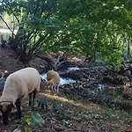 Casa de hóspedes Máré-vára