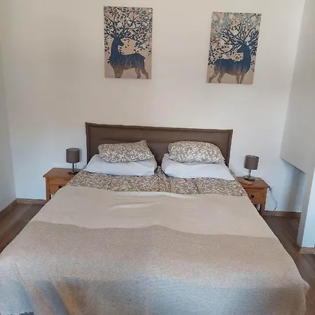 Guest house Mare-vara Vendeghaz *
