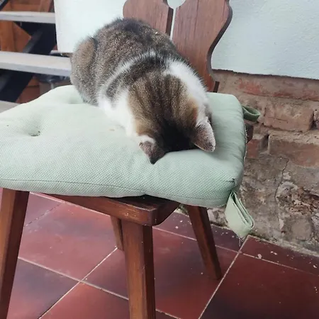 Mare-vara Vendeghaz بيت ضيافة 4*