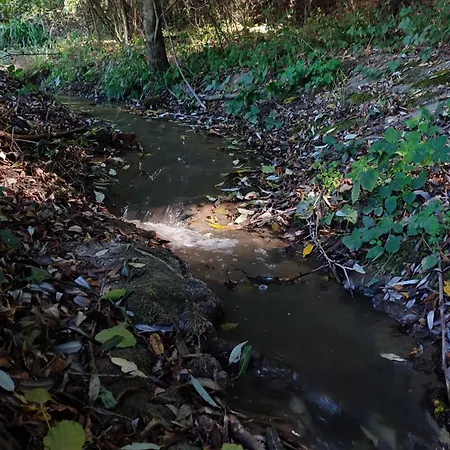 Mare-vara Vendeghaz Magyaregregy