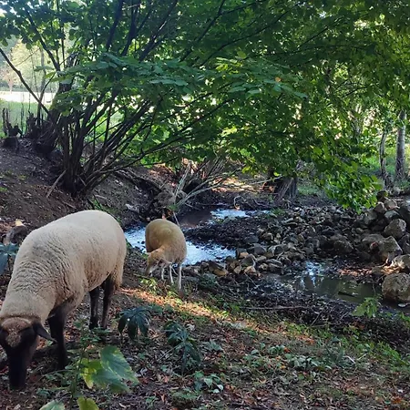 بيت ضيافة Mare-vara Vendeghaz