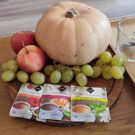 Mare-vara Vendeghaz بيت ضيافة Magyaregregy